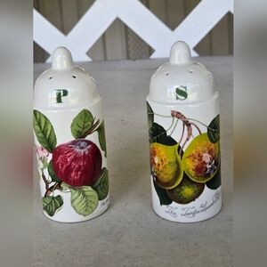 Portmeirion.    Salt and Pepper Shakers  (OS)